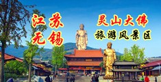 外国日屄视频江苏无锡灵山大佛旅游风景区