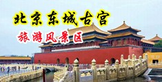 欧美在线刺激视频网站中国北京-东城古宫旅游风景区